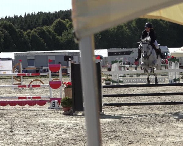 Reitturnier Weiswampach 2022