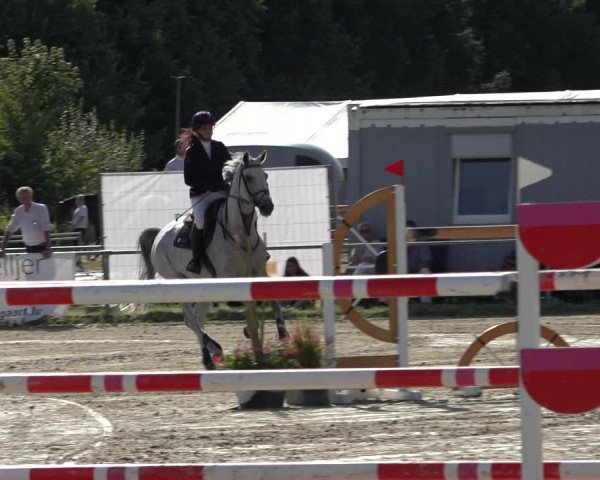 Reitturnier Weiswampach 2022