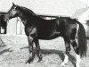 dressage horse Lombard (Hanoverian, 1969, from Lugano II)