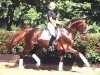 stallion Duntroon (Oldenburg, 1991, from Donnerhall)