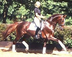 stallion Duntroon (Oldenburg, 1991, from Donnerhall)