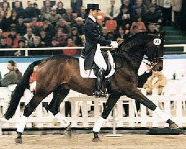 stallion Festivo (Rhinelander, 1985, from Frühlingsball)