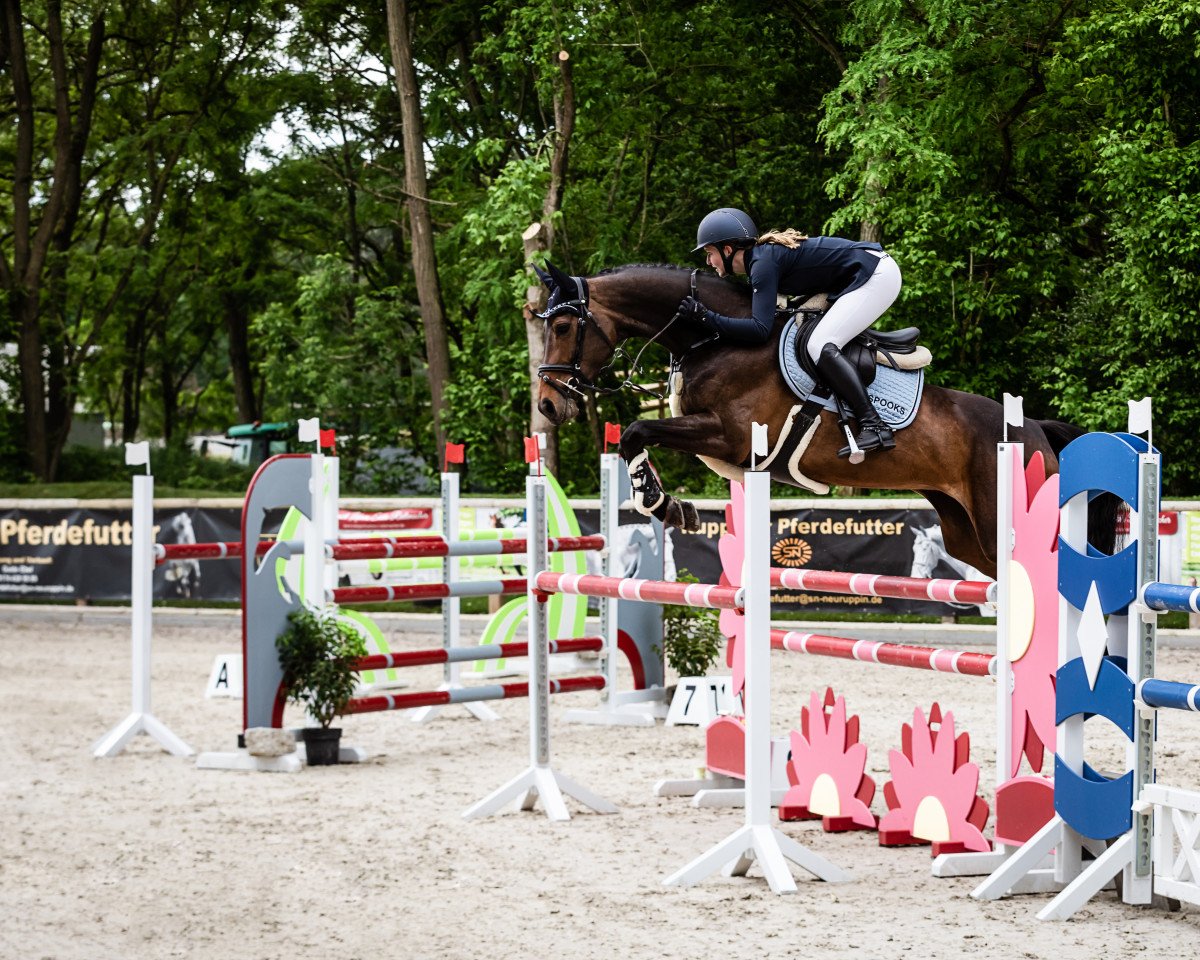 broodmare C-Untouchable (Holsteiner, 2015, from Cornet Obolensky)