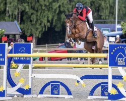 jumper Chica Fino (Hessian Warmblood, 2008, from Calido I)