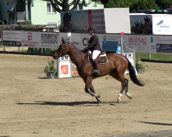 Reitturnier Dagmersellen 2022