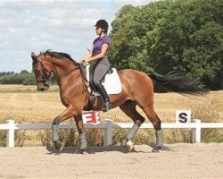 dressage horse Jonstrupgårdens Raneur (Danish Warmblood, 1999, from Ragazzo)