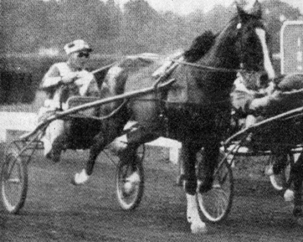broodmare Yankee Lass (US) (American Trotter, 1955, from Florican 80195 (US))