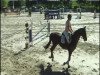 jumper Kaskad 2 (CIS Warmblood, 1993)