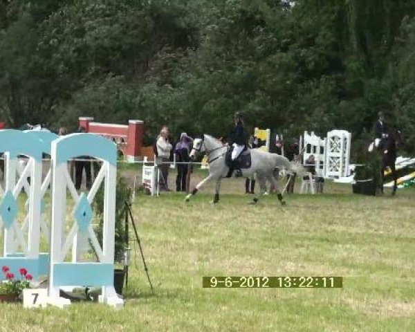 jumper Stella GT (Hanoverian, 2004, from Stolzenberg)