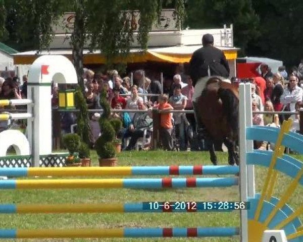 dressage horse Goldika (Hessian Warmblood, 1996, from Grafenberg)