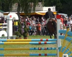 dressage horse Goldika (Hessian Warmblood, 1996, from Grafenberg)