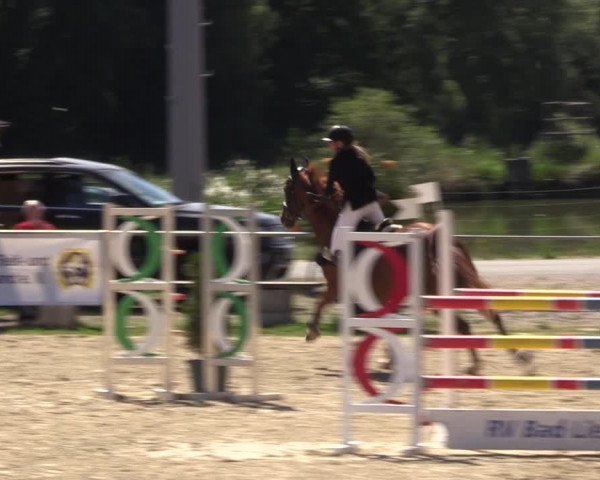 Reitturnier Bad Liebenstein/Sorga 2022