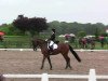 dressage horse Quebec 37 (Oldenburg, 2001, from Quattro B)