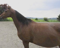 broodmare Larissca (Württemberger, 1999, from Landcharme)