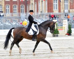 dressage horse Brioni W (Westphalian, 2001, from Breitling W)