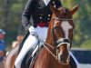 dressage horse Exquis Clearwater (Danish Warmblood, 1998, from Carpaccio)