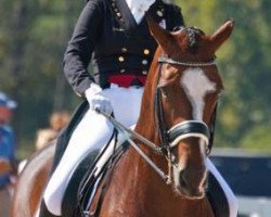 dressage horse Exquis Clearwater (Danish Warmblood, 1998, from Carpaccio)