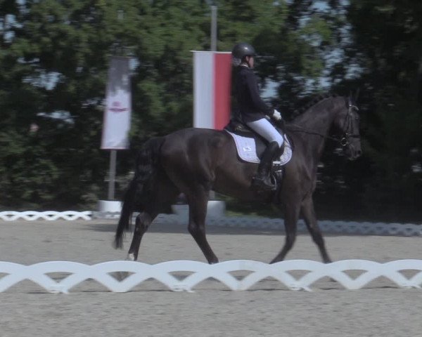 Reitturnier Gemeinde Perchtoldsdorf 2022