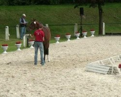 dressage horse Rubina SBN (Westphalian, 2009, from Rubitano)