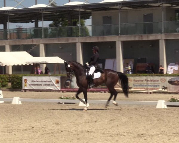 Reitturnier Neustadt/Dosse 2022