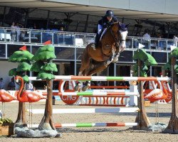 jumper Fantastico B (KWPN (Royal Dutch Sporthorse), 2010, from Flamenco de Semilly)