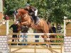 dressage horse Westsachsen's Da Vinci (Mecklenburg, 2004, from Duros 3471)