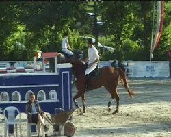 jumper Co Pilot 7 (German Sport Horse, 2007, from Couleur Rouge)