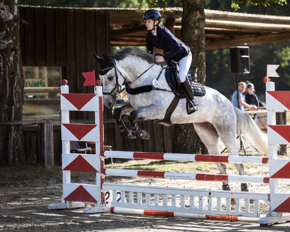 jumper Criminal Lady (Holsteiner, 2017, from Cornet Obolensky)