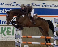 dressage horse Don's Diabolo (Zweibrücken, 2004, from Don Van Atta)