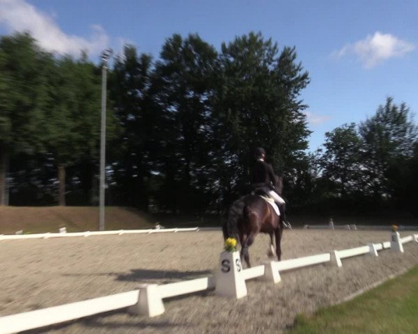 Reitturnier Greven 2022