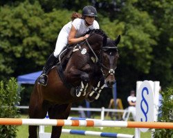 Springpferd Malibu (Deutsches Sportpferd, 2016, von Malibu Z)