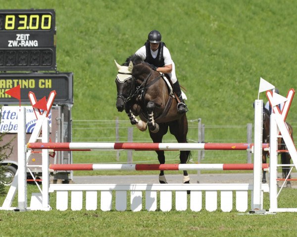 horse Condo di San Martino CH (Swiss Warmblood, 2001, from Calando II)