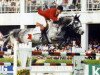 stallion Athletico (Holsteiner, 1988, from Athlet Z)