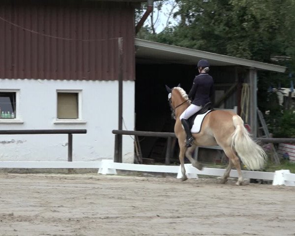 Reitturnier Marienheide-Kempershöhe 2022