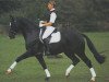 stallion Casaretto (Holsteiner, 1989, from Calypso I)