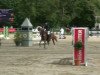 jumper Muzio T (German Riding Pony, 2007, from Mentos Charmeur)