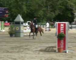 jumper Muzio T (German Riding Pony, 2007, from Mentos Charmeur)