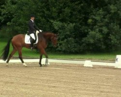 dressage horse Dornenstern (Hanoverian, 2007, from Danone 4)