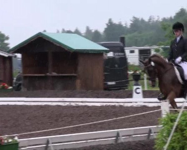 dressage horse Don Peppino WE (German Riding Pony, 2007, from Don Philino)