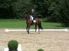 dressage horse Faruk H (Westphalian, 1999, from Florestan I)