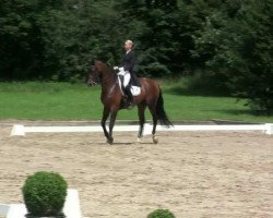 dressage horse Faruk H (Westphalian, 1999, from Florestan I)