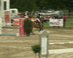 jumper Titanium (KWPN (Royal Dutch Sporthorse), 2000, from Cavalier)