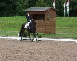 dressage horse Charon 47 (Holsteiner, 1998, from Chamonix)