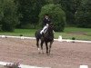 dressage horse Adventure 41 (Hanoverian, 1997, from A Jungle Prince)