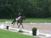 dressage horse Do it my way (Oldenburg, 2000, from De Niro)