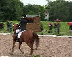 dressage horse Woltino (Hanoverian, 1997, from Wolkenstein II)