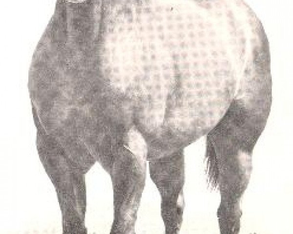 stallion Goodseeker Bars (Quarter Horse, 1966, from Goldseeker Bars)