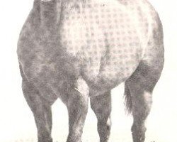 Deckhengst Goodseeker Bars (Quarter Horse, 1966, von Goldseeker Bars)