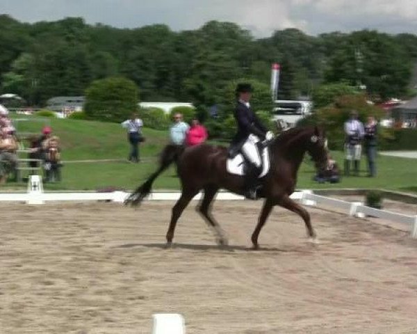 dressage horse Dorny 2 (Oldenburg, 1996, from Donnerschlag)