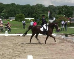 dressage horse Dorny 2 (Oldenburg, 1996, from Donnerschlag)